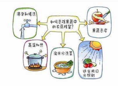 如何減少農藥污染去除農藥殘留？振華化工總結以下幾點分享給大家